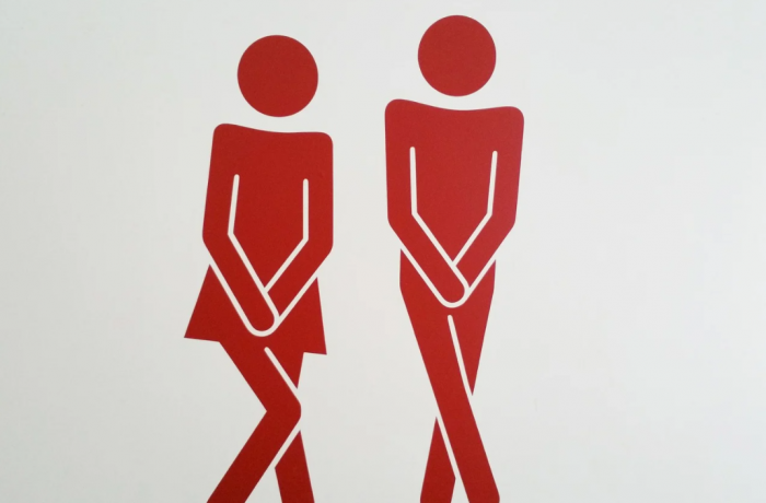 Nießner und Dieringer-Granza fordern Toilettenkonzept