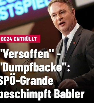 Liegt der Wiener SPÖ Bezirksvorsteher Nevrivy mit seiner Analyse richtig?